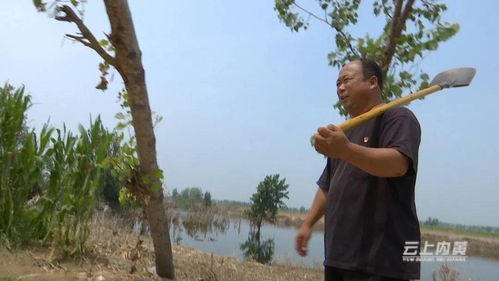 老驥伏櫪,永恒初心 記內黃縣二安鎮大劉村黨支部書記馬文忠