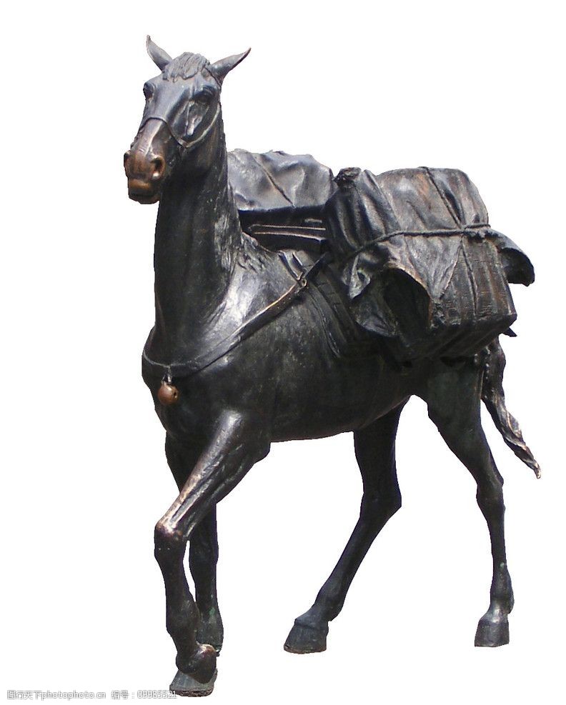 老驥伏櫪圖片素材